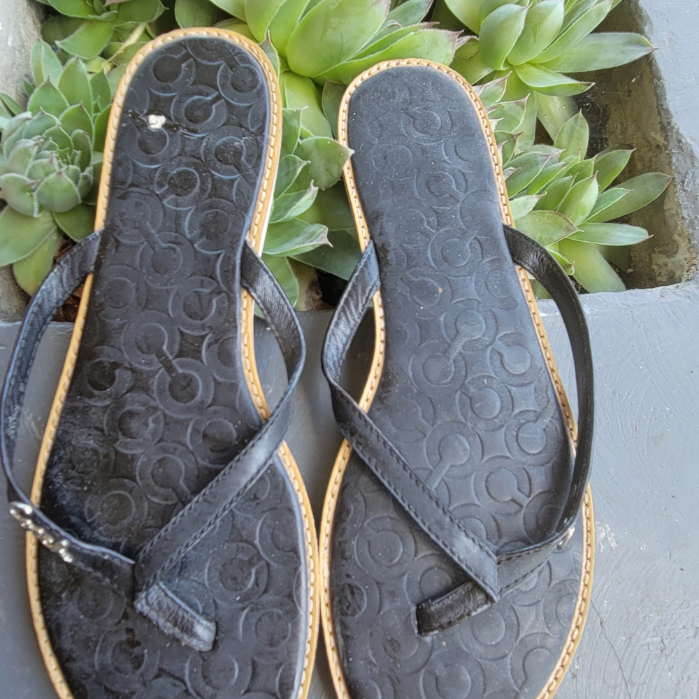 Black Flip Flops - image 1
